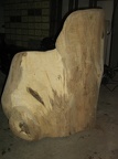 Winter 2008 027